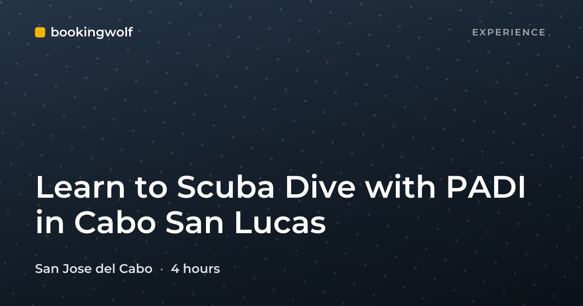 Learn to Scuba Dive with PADI in Cabo San Lucas