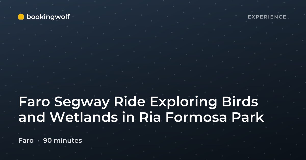 Faro Segway Ride Exploring Birds and Wetlands in Ria Formosa Park