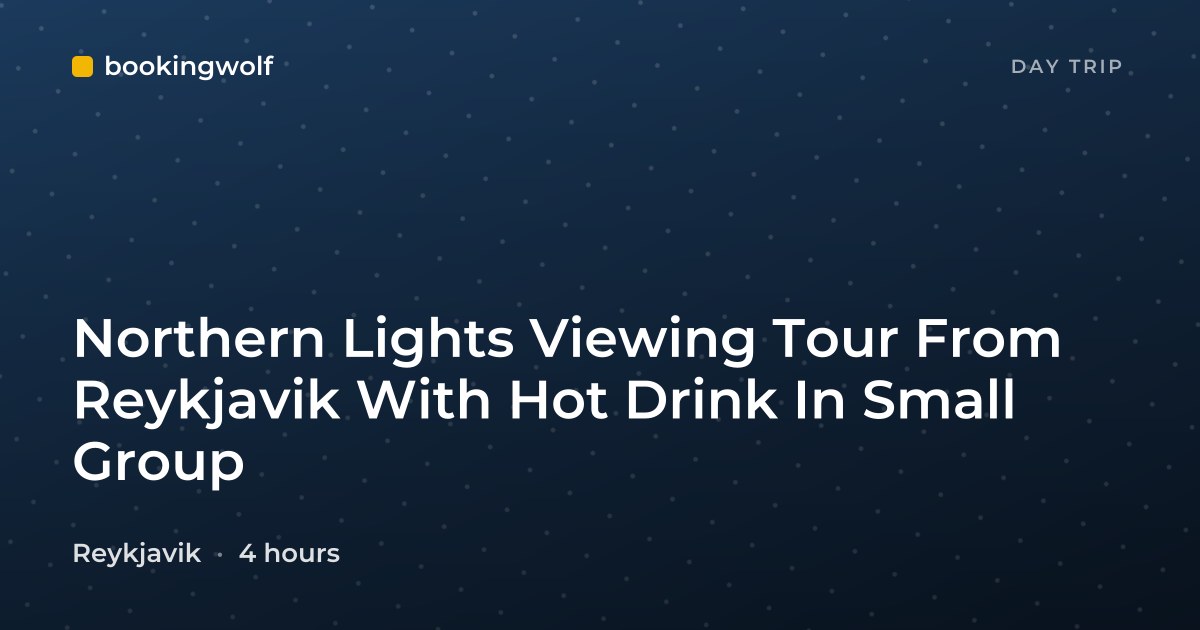 Northern Lights Viewing Tour From Reykjavik With Hot Drink In Small Group