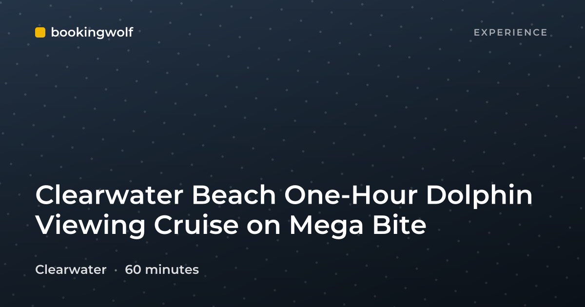 Clearwater Beach One-Hour Dolphin Viewing Cruise on Mega Bite