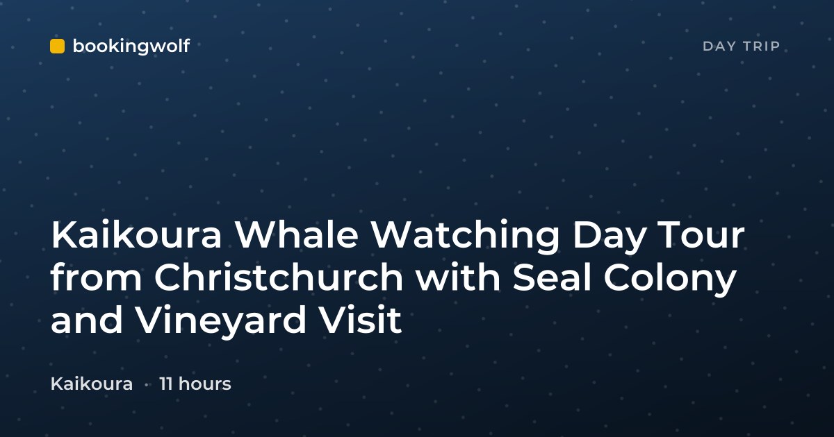 Kaikoura Whale Watching Day Tour from Christchurch with Seal Colony and Vineyard Visit
