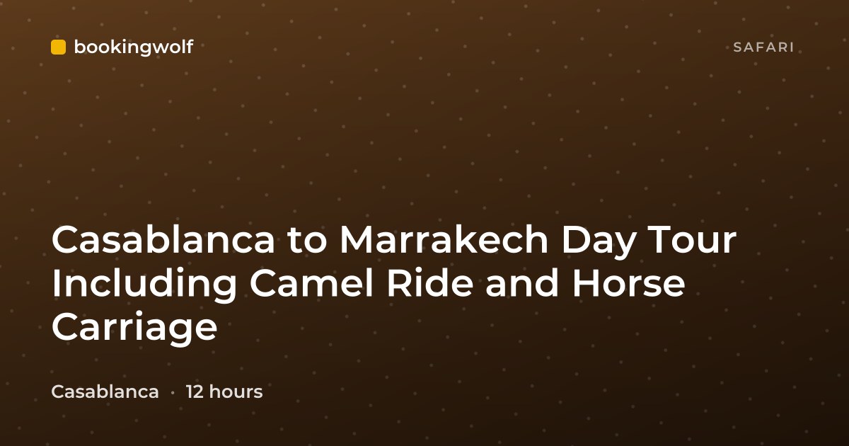 Casablanca to Marrakech Day Tour Including Camel Ride and Horse Carriage