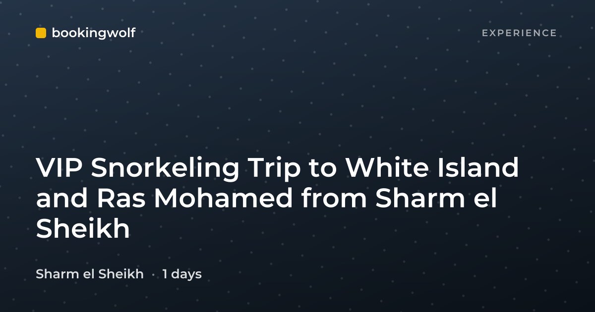 VIP Snorkeling Trip to White Island and Ras Mohamed from Sharm el Sheikh