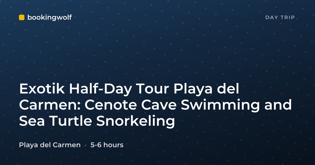 Exotik Half-Day Tour Playa del Carmen: Cenote Cave Swimming and Sea Turtle Snorkeling