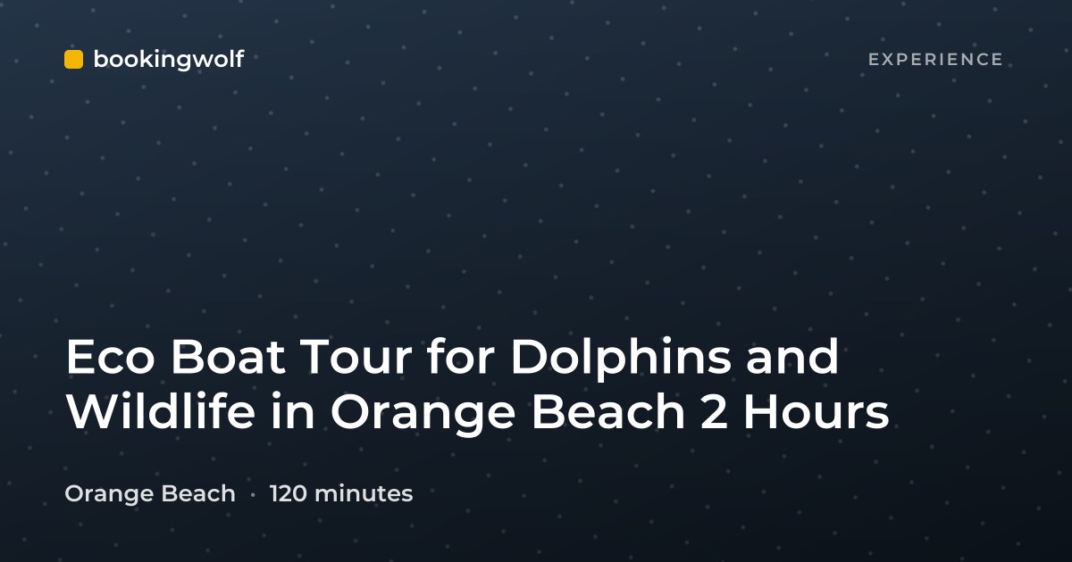 Eco Boat Tour for Dolphins and Wildlife in Orange Beach 2 Hours