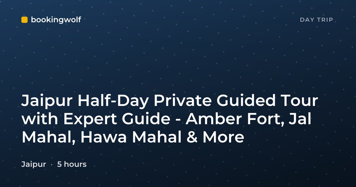 Jaipur Half-Day Private Guided Tour with Expert Guide - Amber Fort, Jal Mahal, Hawa Mahal & More