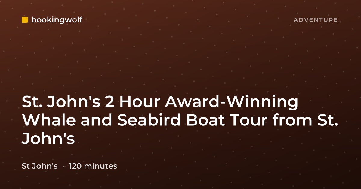 St. John's 2 Hour Award-Winning Whale and Seabird Boat Tour from St. John's