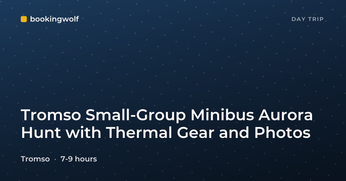 Tromso Small-Group Minibus Aurora Hunt with Thermal Gear and Photos