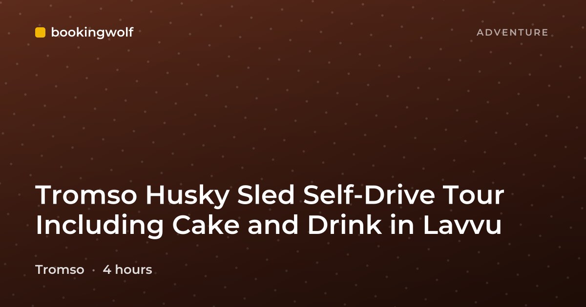 Tromso Husky Sled Self-Drive Tour Including Cake and Drink in Lavvu