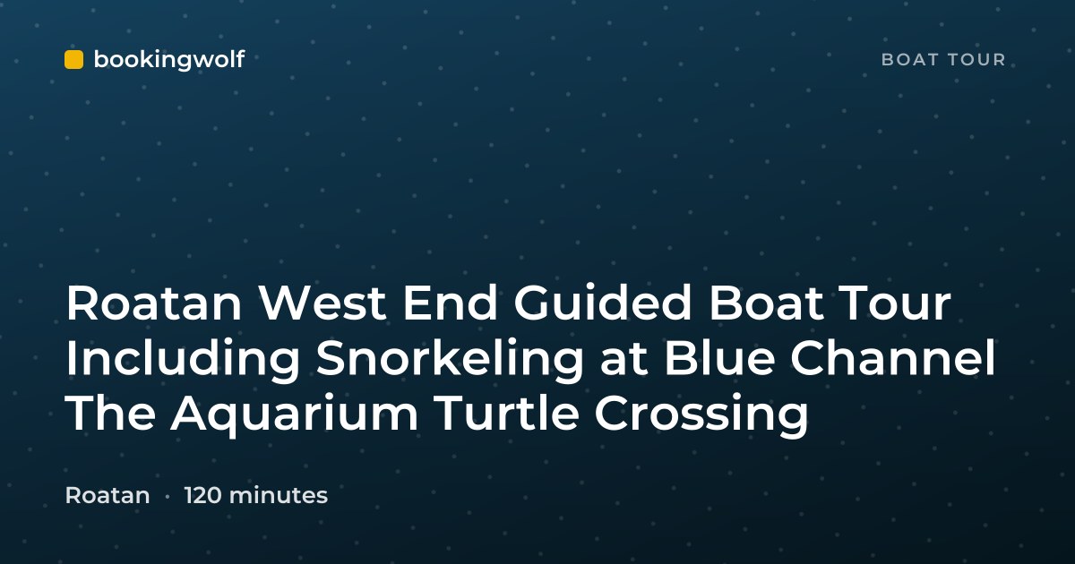 Roatan West End Guided Boat Tour Including Snorkeling at Blue Channel The Aquarium Turtle Crossing