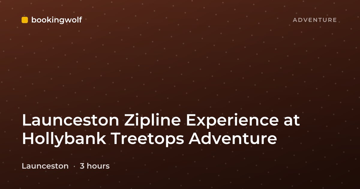 Launceston Zipline Experience at Hollybank Treetops Adventure