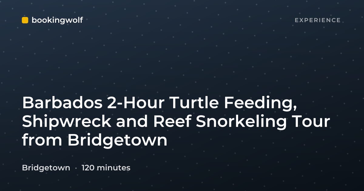 Barbados 2-Hour Turtle Feeding, Shipwreck and Reef Snorkeling Tour from Bridgetown