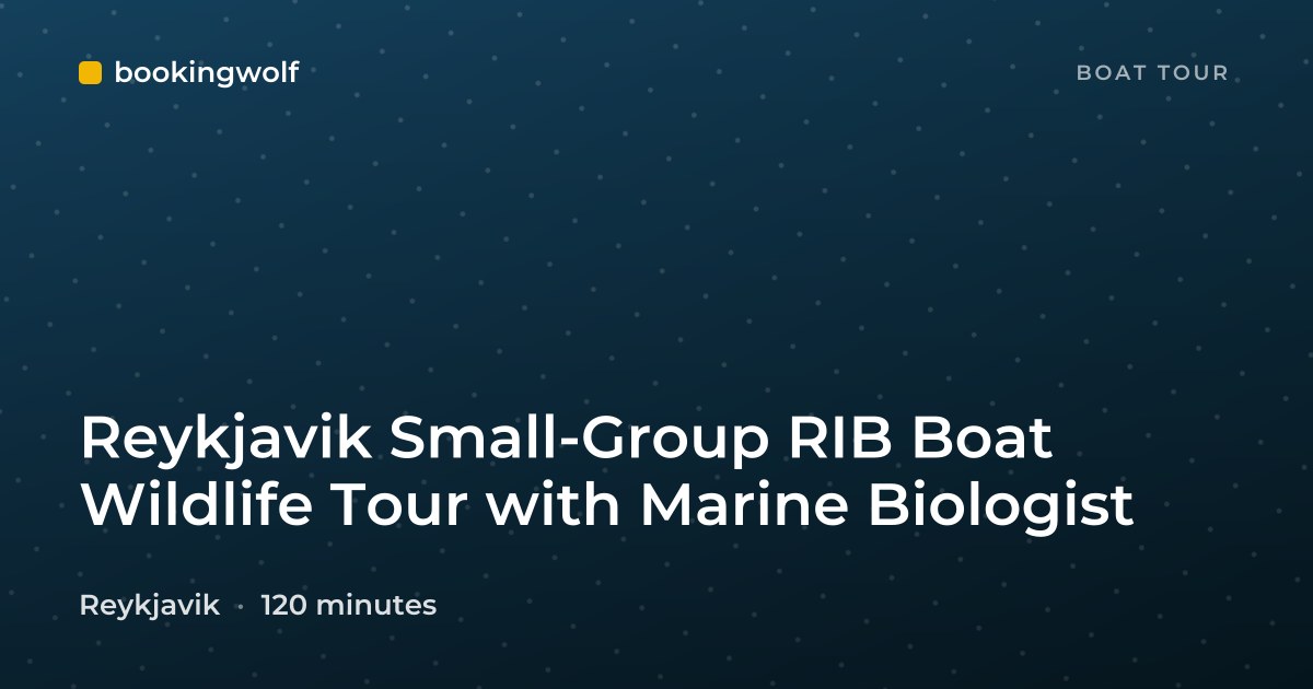 Reykjavik Small-Group RIB Boat Wildlife Tour with Marine Biologist