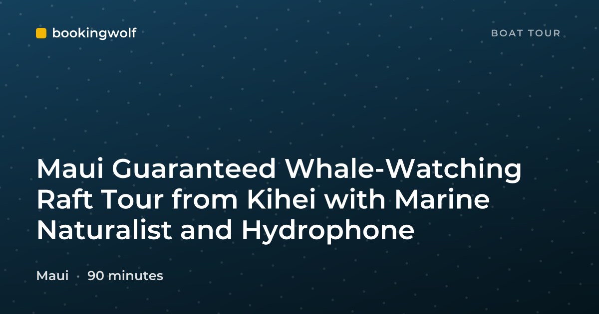 Maui Guaranteed Whale-Watching Raft Tour from Kihei with Marine Naturalist and Hydrophone