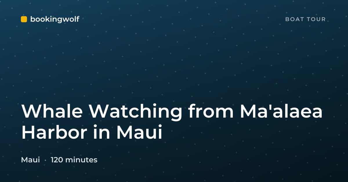 Whale Watching from Ma'alaea Harbor in Maui