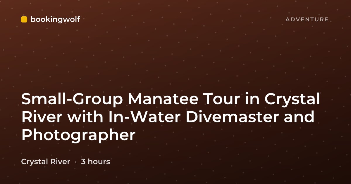 Small-Group Manatee Tour in Crystal River with In-Water Divemaster and Photographer