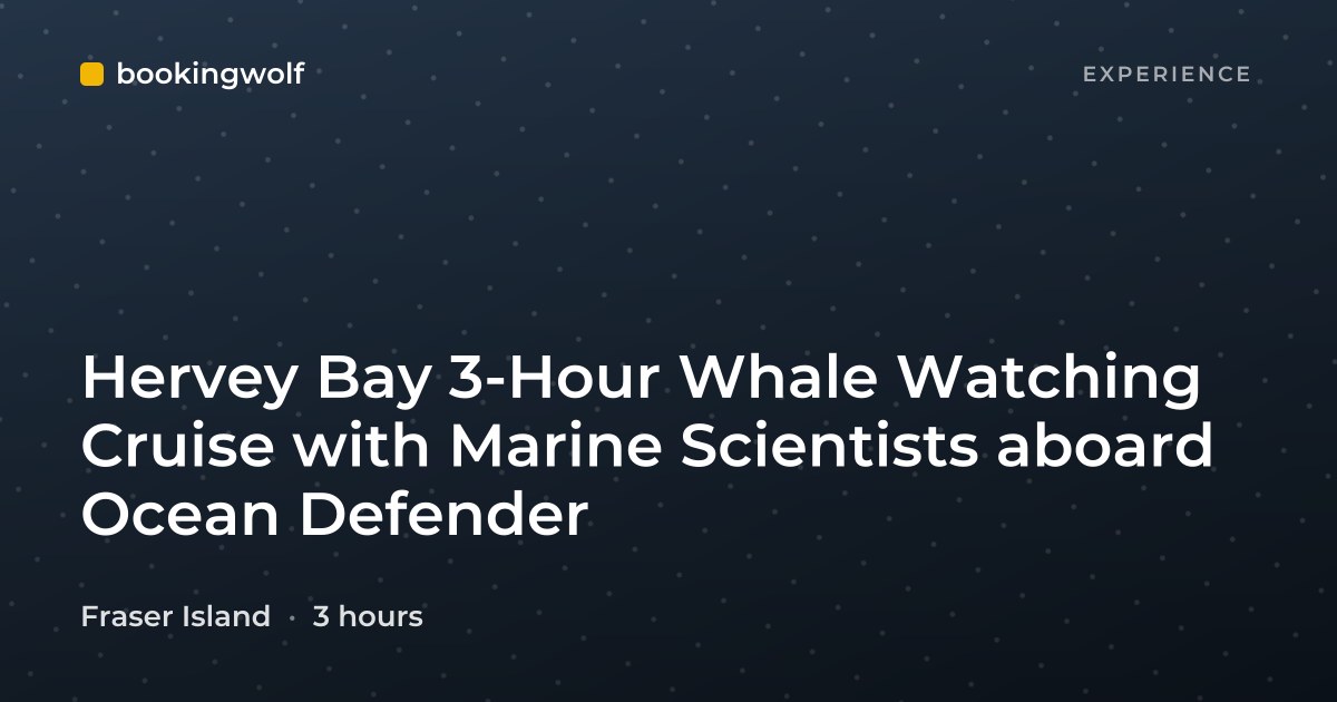 Hervey Bay 3-Hour Whale Watching Cruise with Marine Scientists aboard Ocean Defender