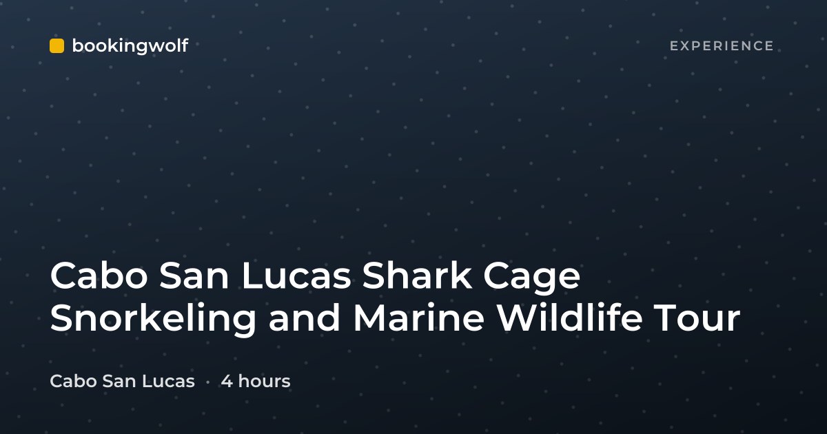 Cabo San Lucas Shark Cage Snorkeling and Marine Wildlife Tour