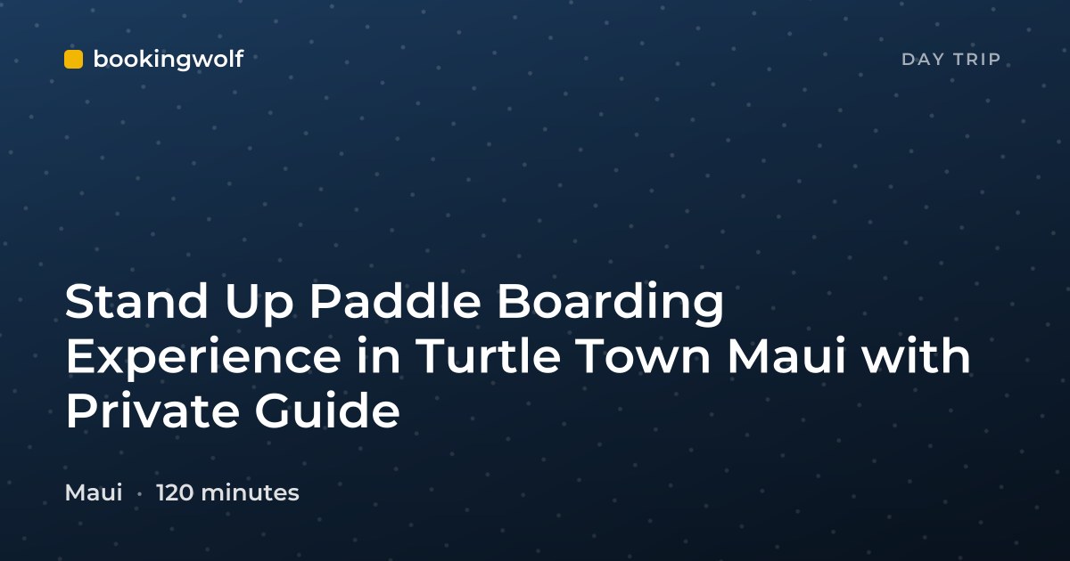 Stand Up Paddle Boarding Experience in Turtle Town Maui with Private Guide