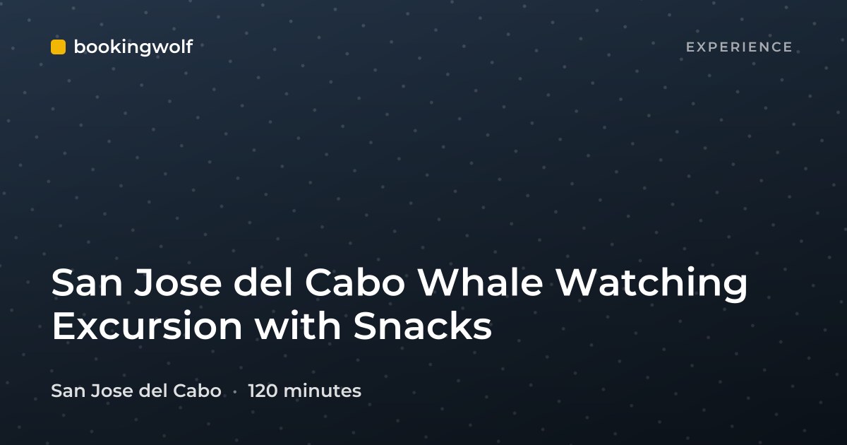 San Jose del Cabo Whale Watching Excursion with Snacks