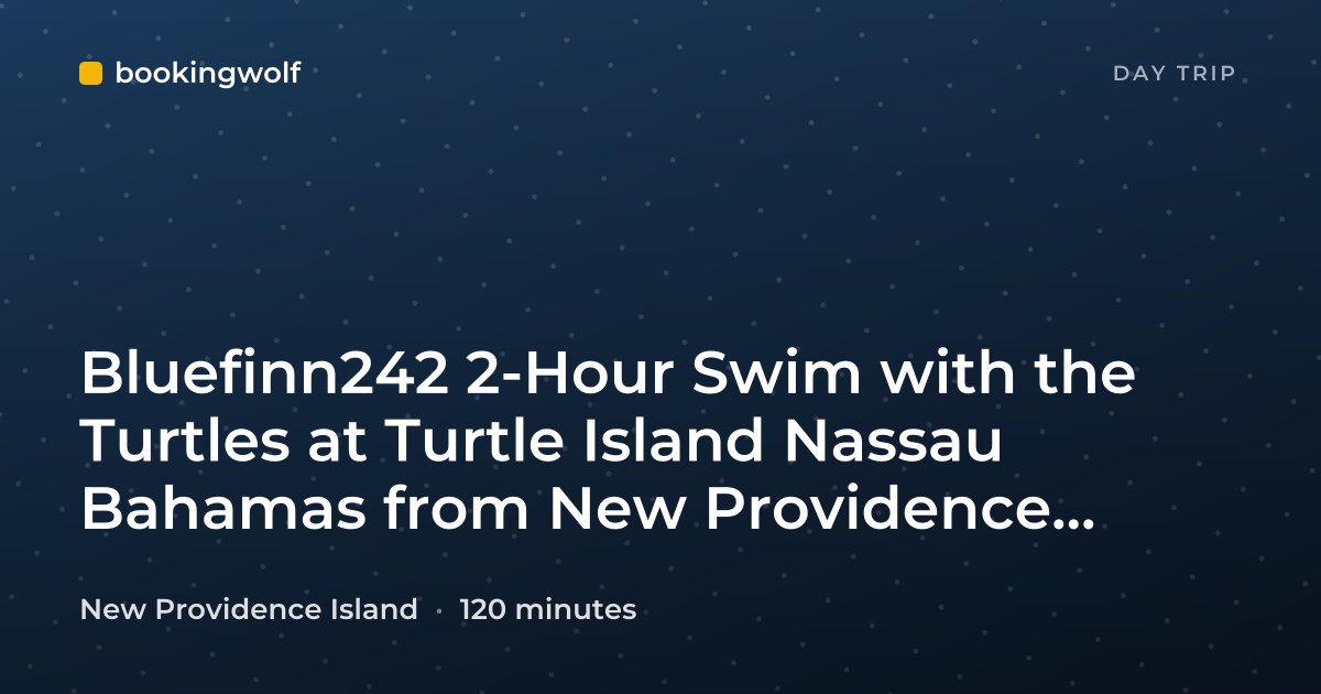 Bluefinn242 2-Hour Swim with the Turtles at Turtle Island Nassau Bahamas from New Providence Island