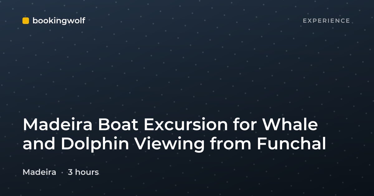 Madeira Boat Excursion for Whale and Dolphin Viewing from Funchal
