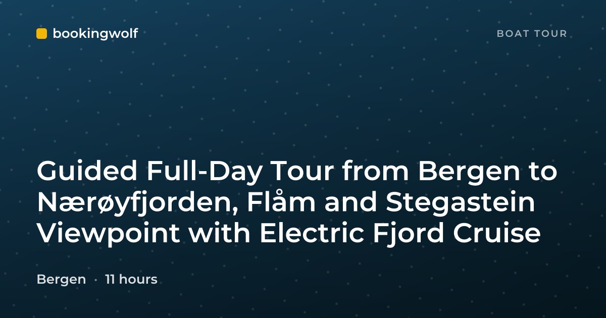 Guided Full-Day Tour from Bergen to Nærøyfjorden, Flåm and Stegastein Viewpoint with Electric Fjord Cruise