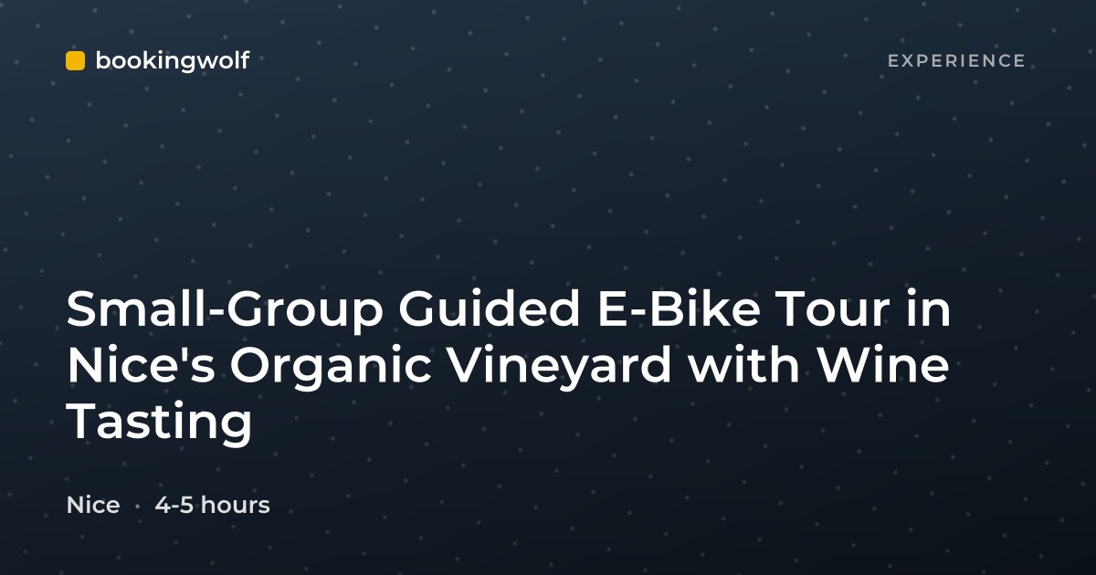 Small-Group Guided E-Bike Tour in Nice's Organic Vineyard with Wine Tasting