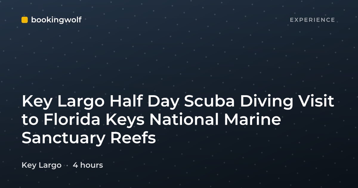 Key Largo Half Day Scuba Diving Visit to Florida Keys National Marine Sanctuary Reefs