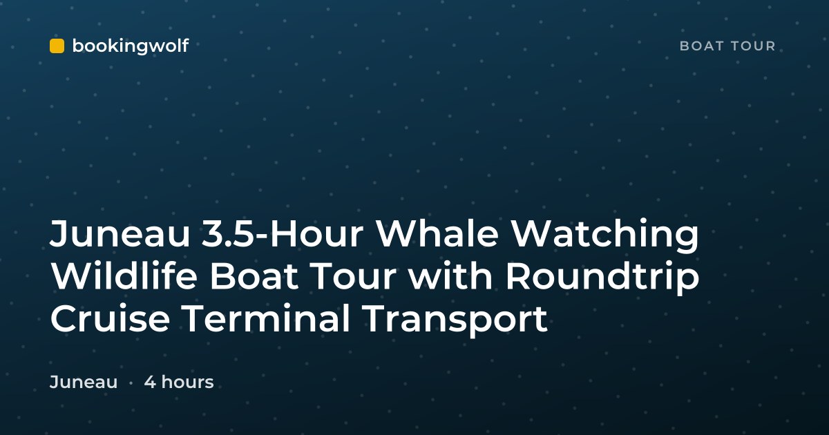 Juneau 3.5-Hour Whale Watching Wildlife Boat Tour with Roundtrip Cruise Terminal Transport