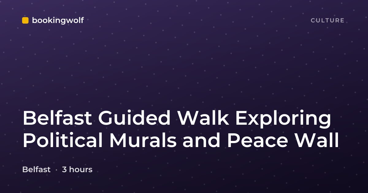 Belfast Guided Walk Exploring Political Murals and Peace Wall