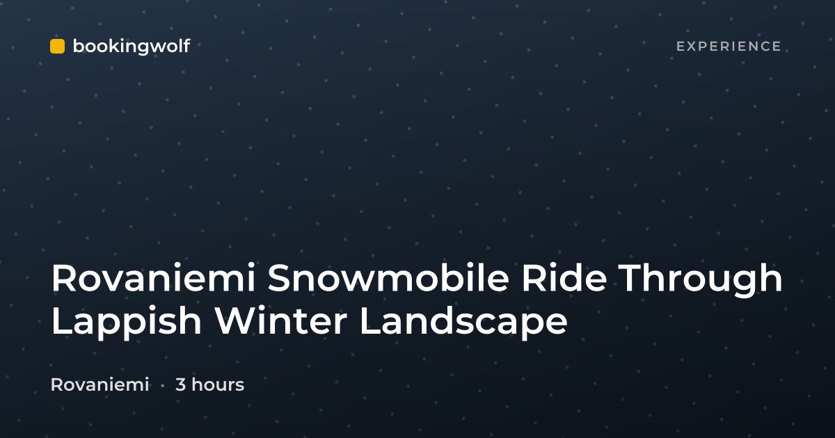 Rovaniemi Snowmobile Ride Through Lappish Winter Landscape
