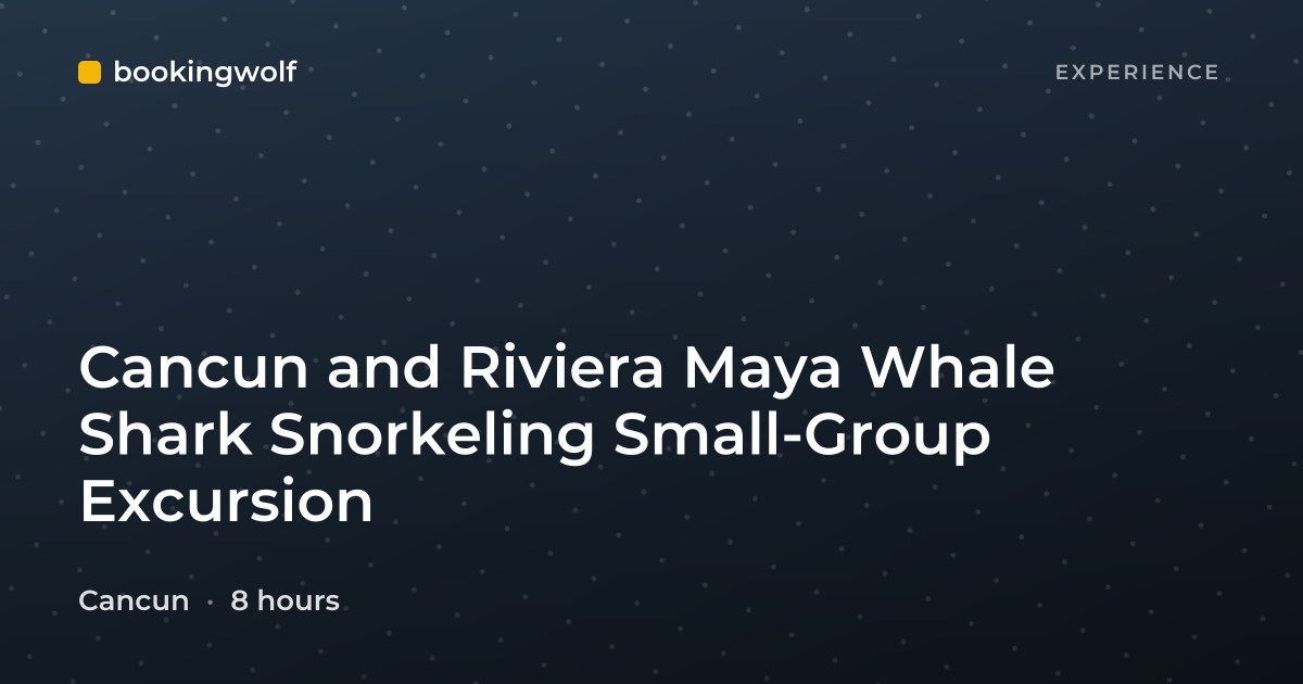 Cancun and Riviera Maya Whale Shark Snorkeling Small-Group Excursion