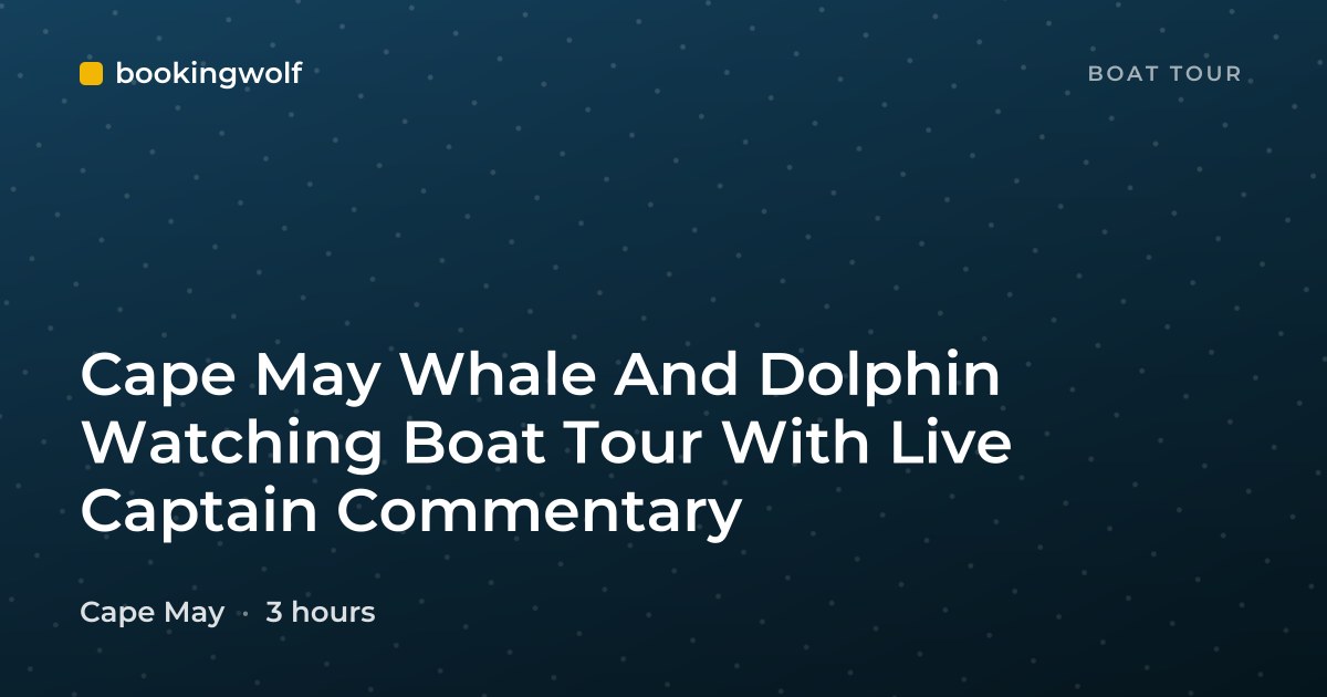 Cape May Whale And Dolphin Watching Boat Tour With Live Captain Commentary