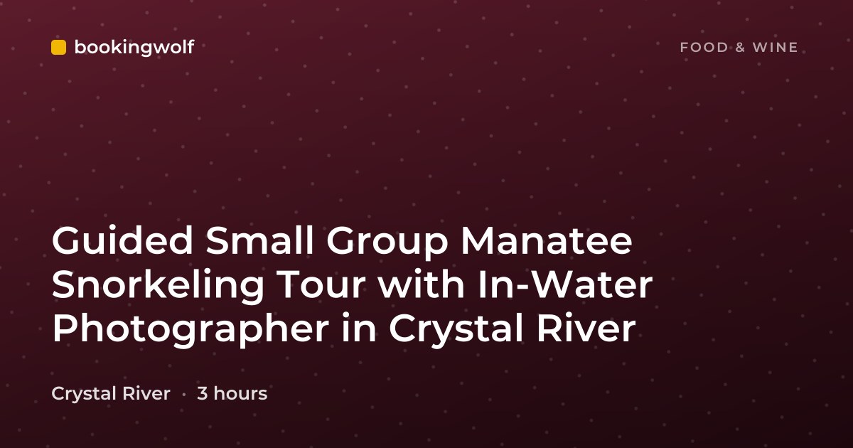 Guided Small Group Manatee Snorkeling Tour with In-Water Photographer in Crystal River