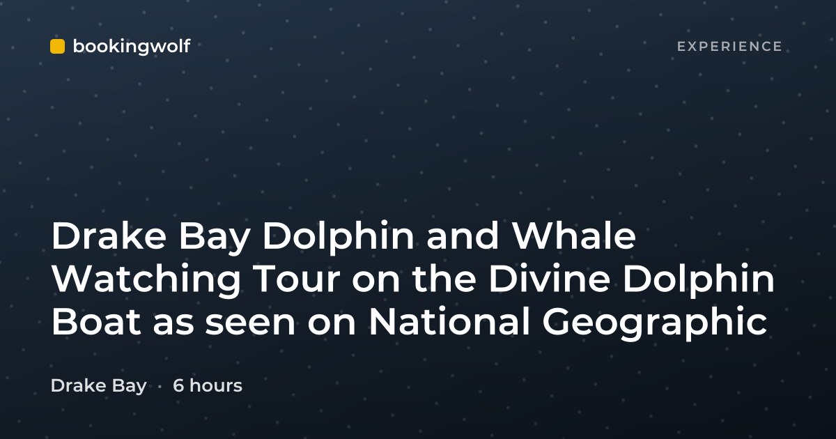 Drake Bay Dolphin and Whale Watching Tour on the Divine Dolphin Boat as seen on National Geographic