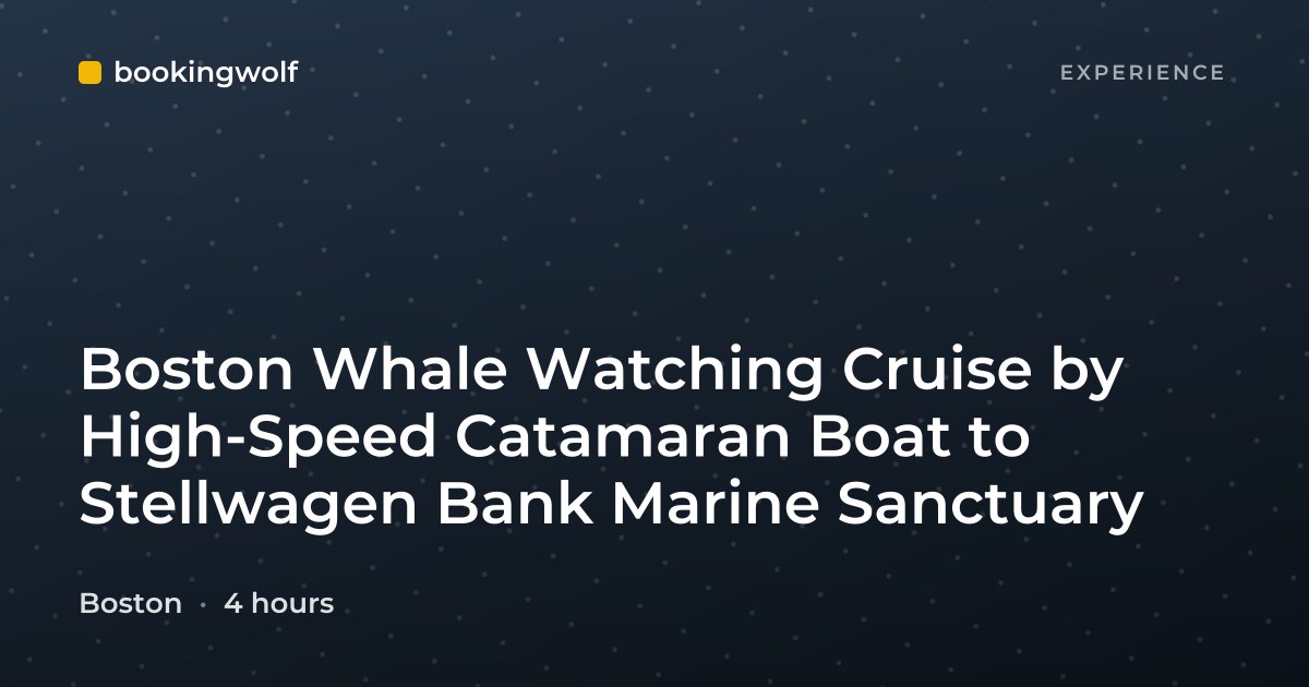 Boston Whale Watching Cruise by High-Speed Catamaran Boat to Stellwagen Bank Marine Sanctuary