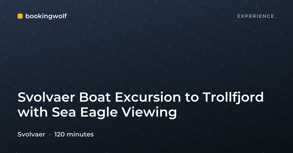 Svolvaer Boat Excursion to Trollfjord with Sea Eagle Viewing