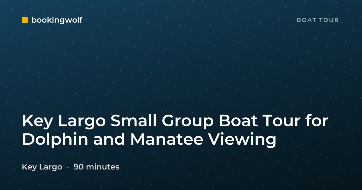 Key Largo Small Group Boat Tour for Dolphin and Manatee Viewing