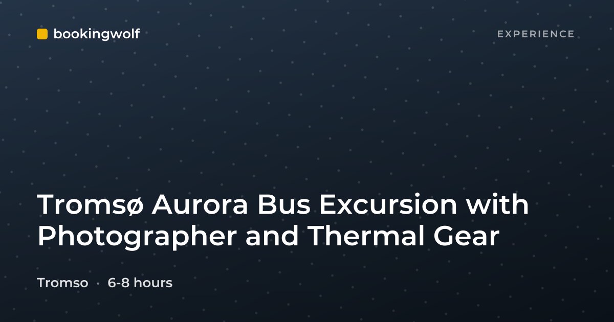 Tromsø Aurora Bus Excursion with Photographer and Thermal Gear