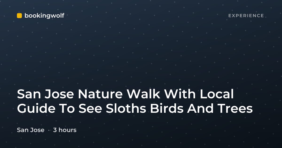 San Jose Nature Walk With Local Guide To See Sloths Birds And Trees