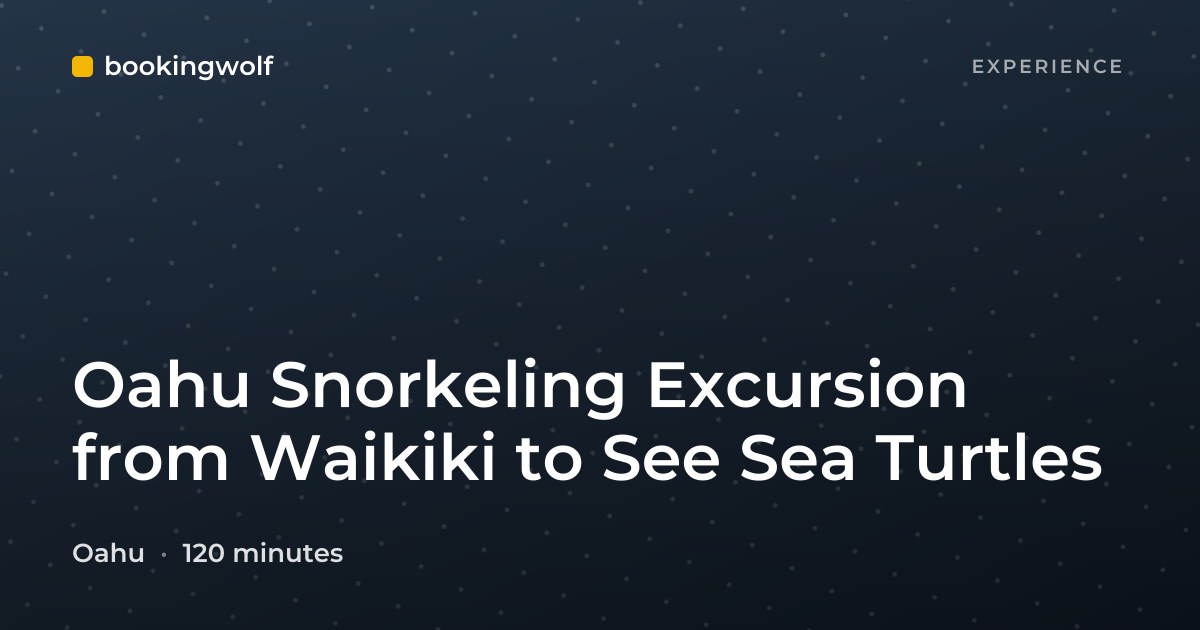 Oahu Snorkeling Excursion from Waikiki to See Sea Turtles