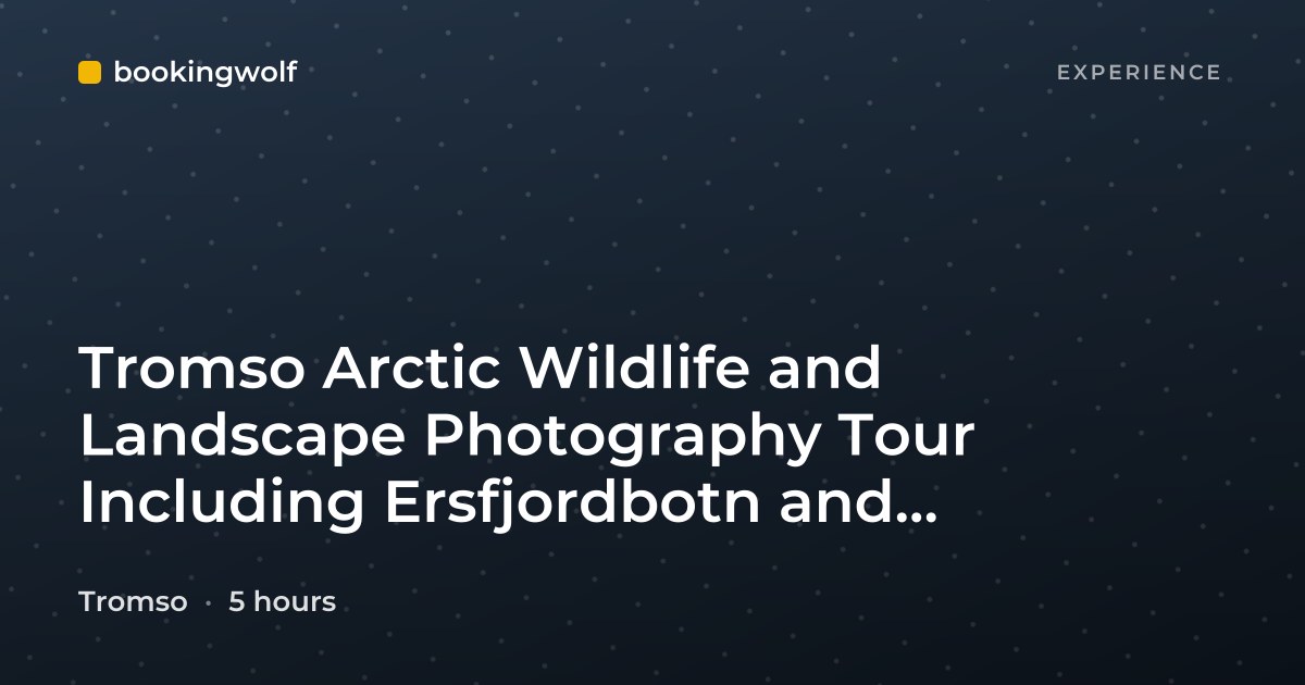 Tromso Arctic Wildlife and Landscape Photography Tour Including Ersfjordbotn and Sommaroy