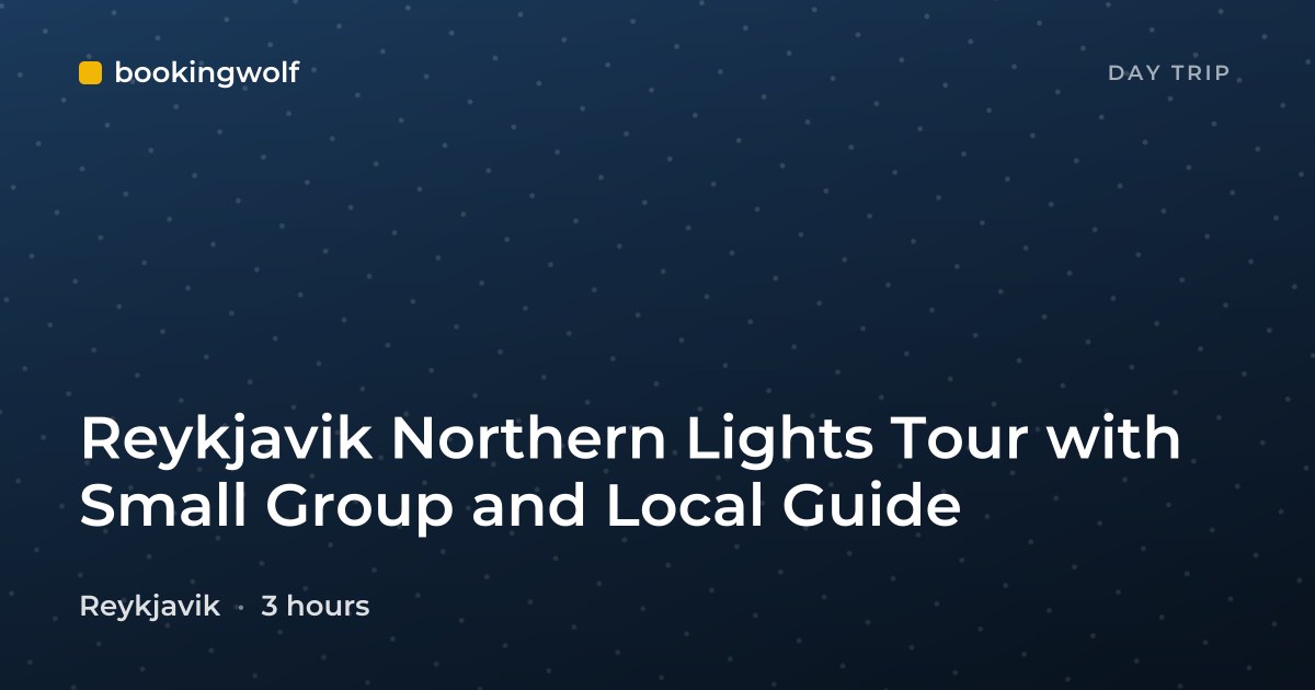 Reykjavik Northern Lights Tour with Small Group and Local Guide