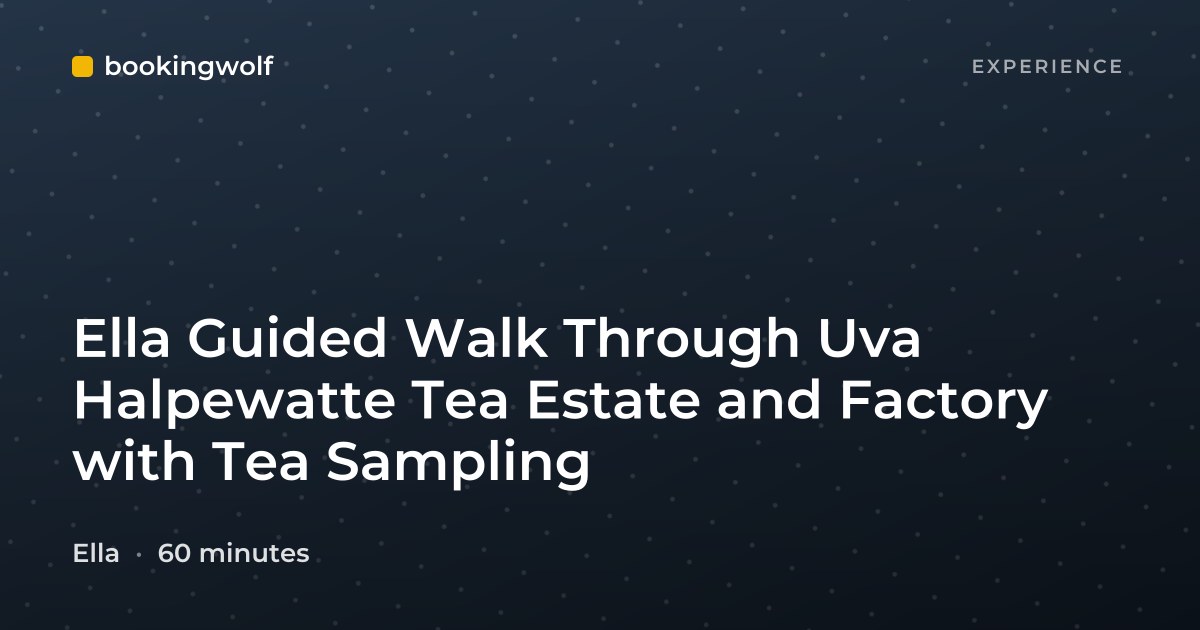 Ella Guided Walk Through Uva Halpewatte Tea Estate and Factory with Tea Sampling
