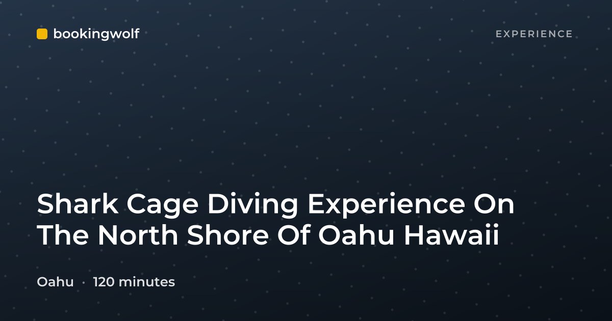 Shark Cage Diving Experience On The North Shore Of Oahu Hawaii
