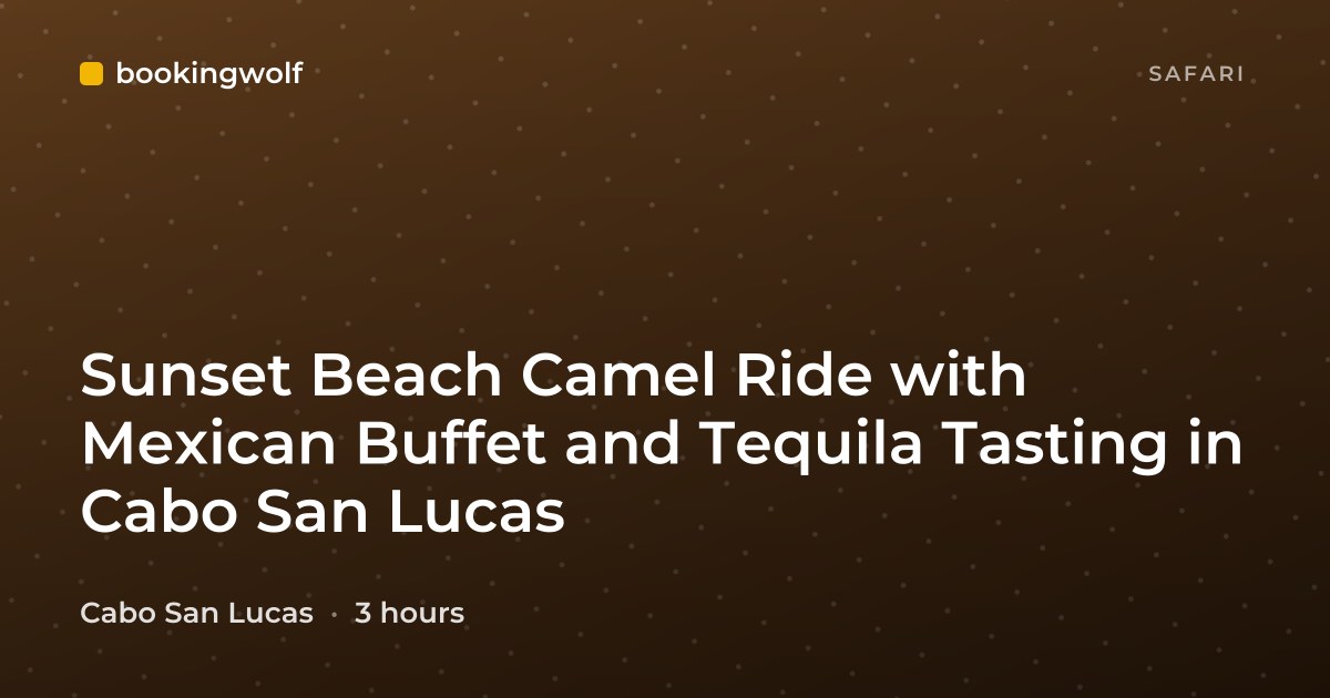 Sunset Beach Camel Ride with Mexican Buffet and Tequila Tasting in Cabo San Lucas