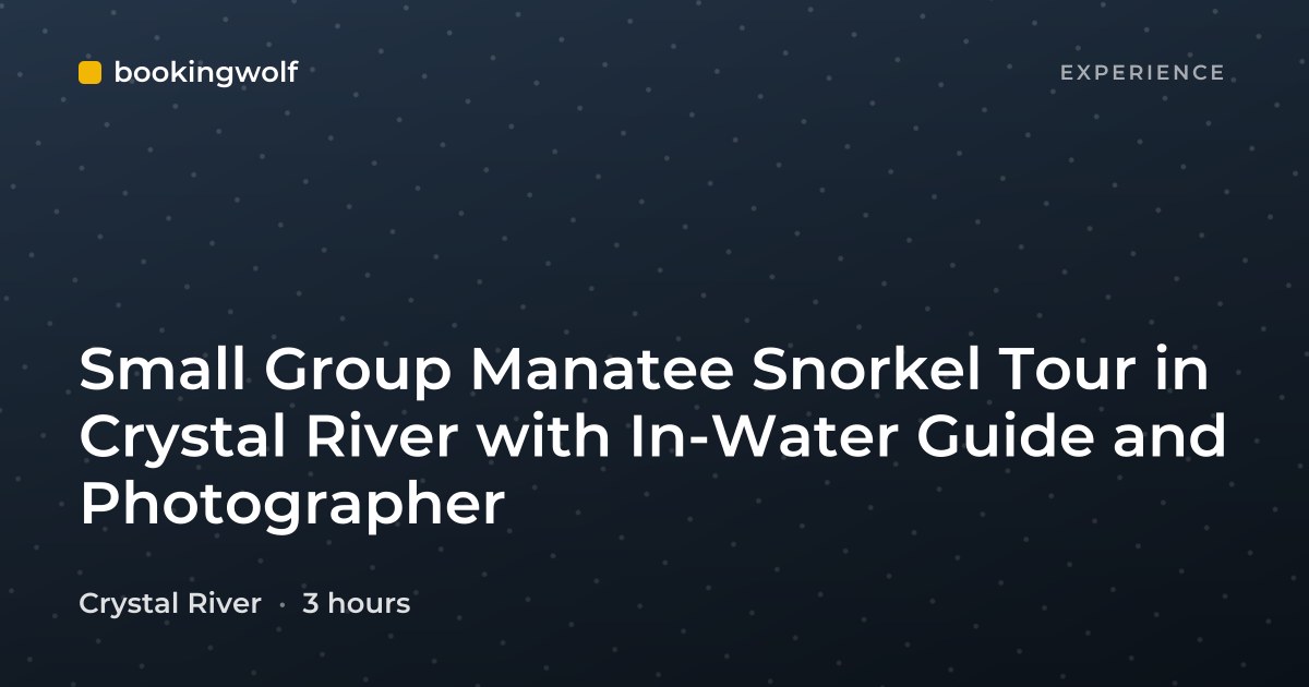 Small Group Manatee Snorkel Tour in Crystal River with In-Water Guide and Photographer