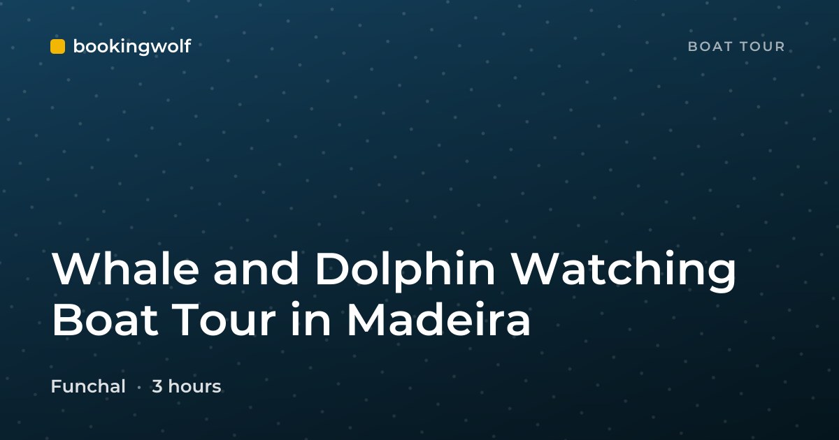 Whale and Dolphin Watching Boat Tour in Madeira