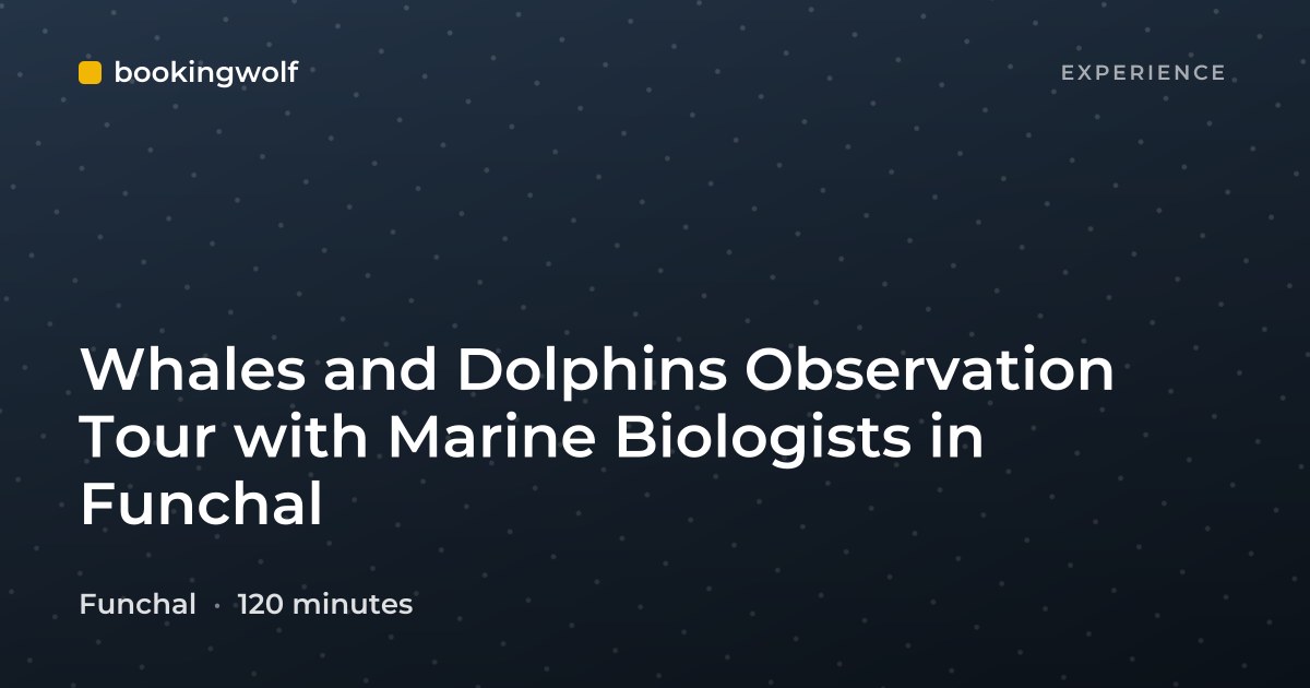 Whales and Dolphins Observation Tour with Marine Biologists in Funchal